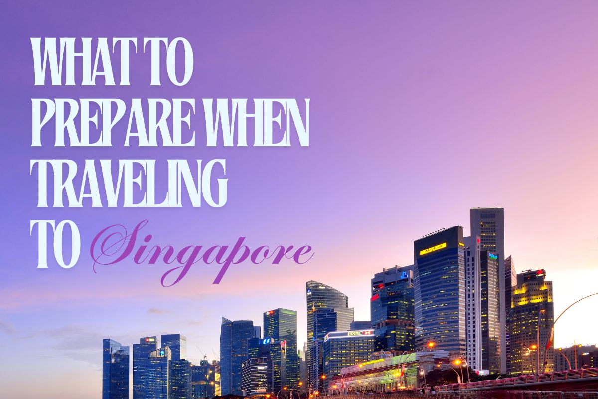 what to prepare when traveling to Singapore feature picture